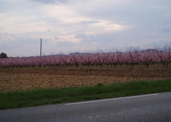 L\'Elie Sous Les Noyers, Le Gite